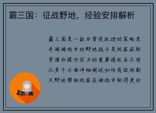 霸三国：征战野地，经验安排解析